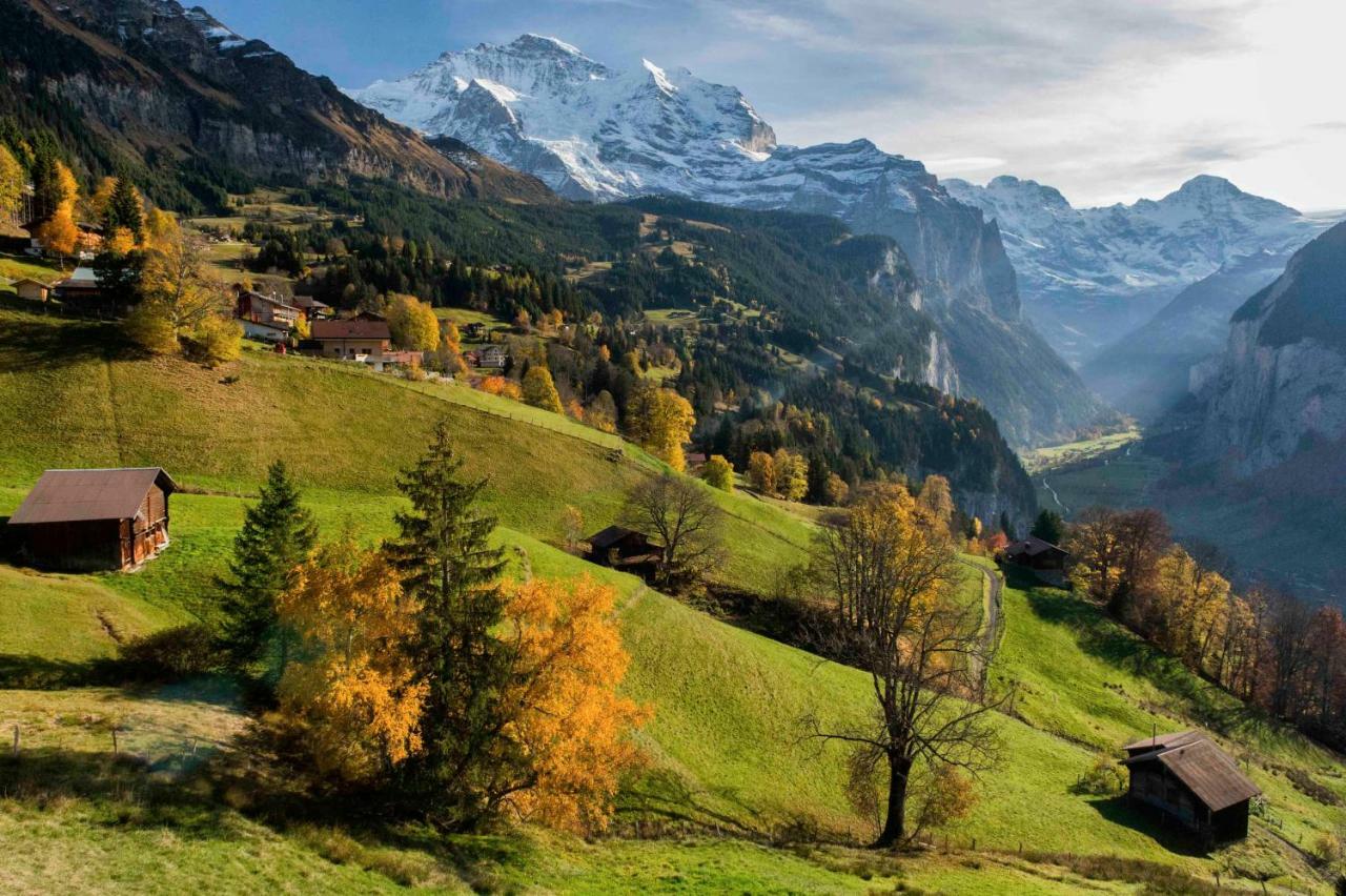 Apartmán O 68 Haus Bel Air Wengen Exteriér fotografie